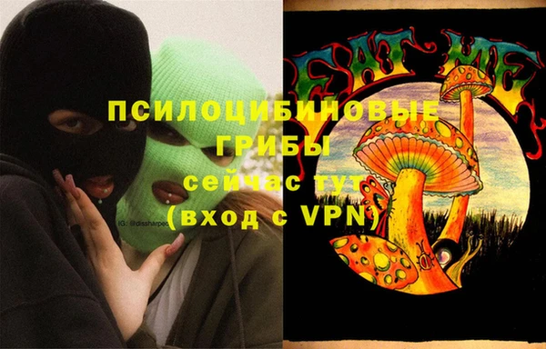 спиды Майский
