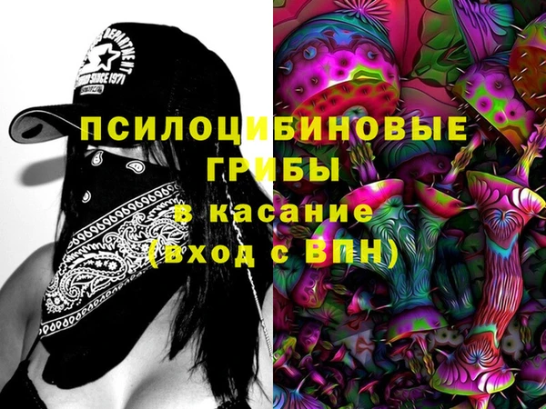твердый Алексеевка